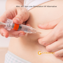 Mini IVF