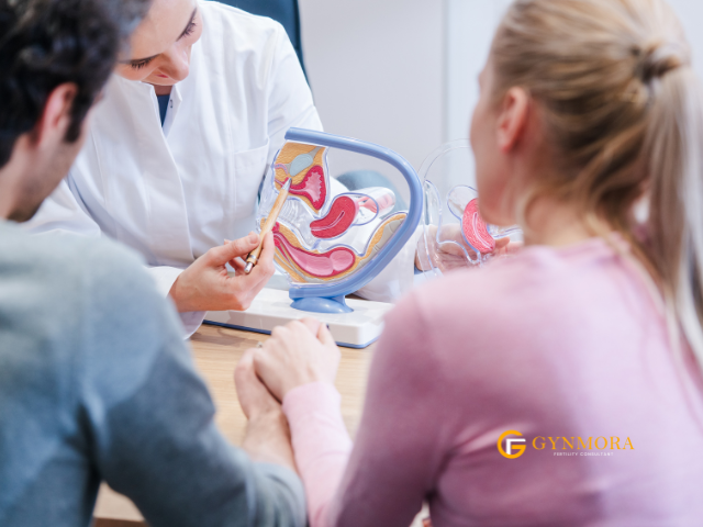 What is a Fertility Doctor