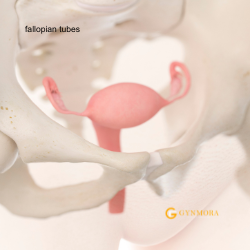 Blocked Fallopian Tubes