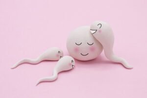 ILLUME Fertility Harrison