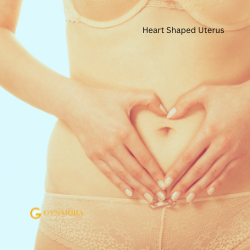 Heart Shaped Uterus