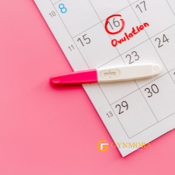 does ovulation make you tired