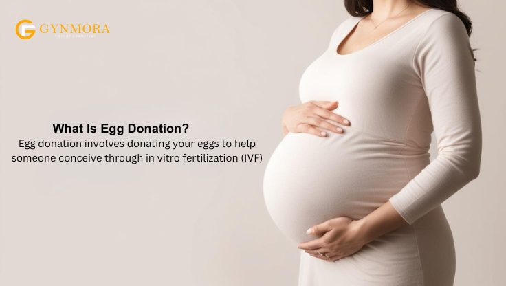 How Much Do Egg Donors Make 10 Irresistible Facts Uncovered 1